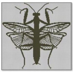 May include: A black and white line drawing of a praying mantis with its wings spread out. The mantis is in a symmetrical pose with its legs outstretched.
