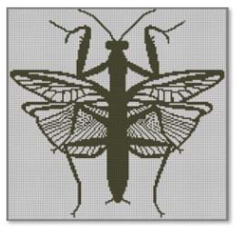 May include: A black and white line drawing of a praying mantis with its wings spread out. The mantis is in a symmetrical pose with its legs outstretched.