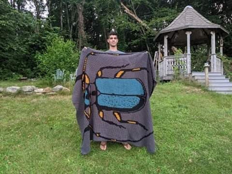 May include: A person holding a gray crocheted blanket with a large blue and yellow beetle design.