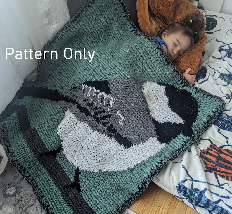 May include: A crochet blanket with a green background and a black and white bird design. The blanket is crocheted in a single crochet stitch and has a black border. The text "Pattern Only" is visible in the top left corner of the image.
