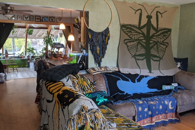 May include: A living room with a brown couch, a blue and black throw blanket, a green and brown throw blanket with a praying mantis design, and a blue and white throw blanket with a star pattern.