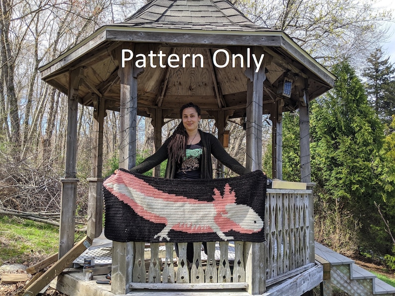 May include: A crochet pattern for a pink and white axolotl on a black background. The pattern is displayed on a crocheted blanket held by a person in a gazebo. The text "Pattern Only" is visible at the top of the image.