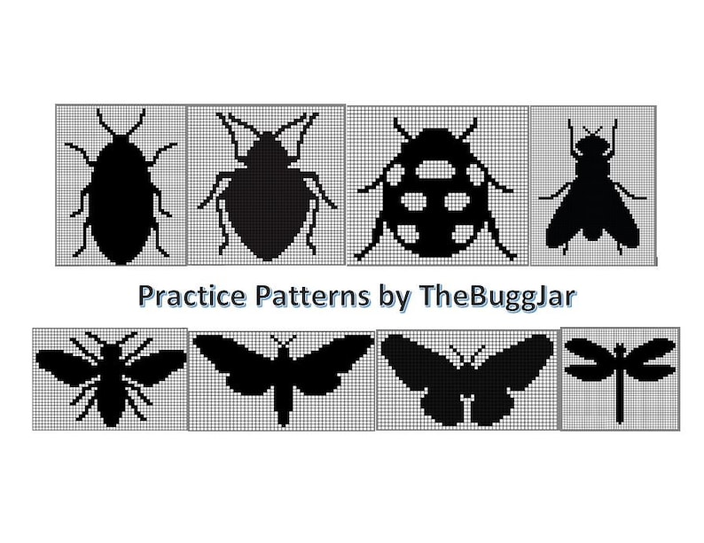 Practice Pattern Kit Crochet (8 smaller patterns) Bug Themed image 1