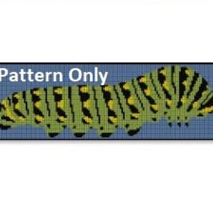 May include: A black and green caterpillar with yellow stripes on a blue background. The caterpillar is curled up, with its head and tail visible.