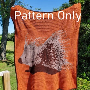 May include: A crochet pattern for a blanket featuring a brown and gray porcupine design on an orange background. The text "Pattern Only" is displayed at the top of the blanket.