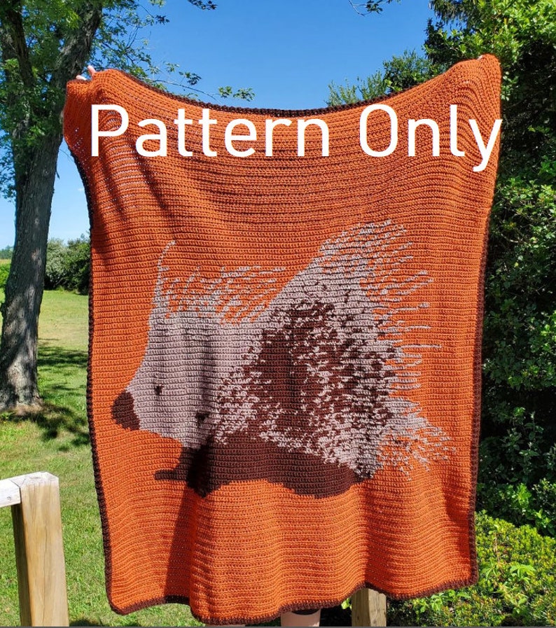 May include: A crochet pattern for a blanket featuring a brown and gray porcupine design on an orange background. The text "Pattern Only" is displayed at the top of the blanket.