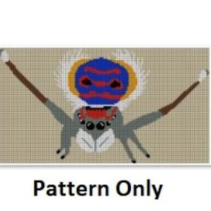 Peacock Spider Crochet (Maratus speciosus) *Pattern Only*