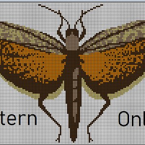 May include: Cross-stitch pattern of a brown and orange butterfly with a gray body and legs. The pattern is on a white grid background with the words "Pattern Only" at the bottom.