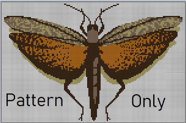 May include: Cross-stitch pattern of a brown and orange butterfly with a gray body and legs. The pattern is on a white grid background with the words "Pattern Only" at the bottom.