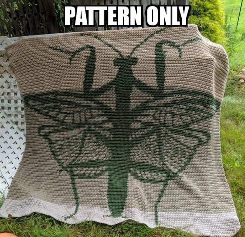 May include: A crocheted blanket featuring a green praying mantis with butterfly wings. The blanket is beige with a white border.