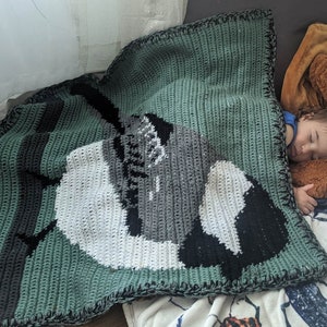 May include: A green, black, and white crocheted blanket with a bird design. The blanket is on a bed with a child sleeping on it.