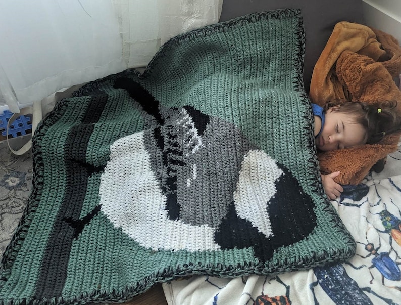 May include: A green, black, and white crocheted blanket with a bird design. The blanket is on a bed with a child sleeping on it.