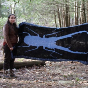 Stag Beetle Crochet Pattern Only Blanket image 4