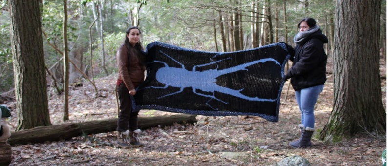 Stag Beetle Crochet Pattern Only Blanket image 4