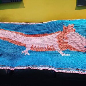 May include: A crocheted blanket featuring a pink and orange axolotl on a turquoise background. The blanket has a pink border.