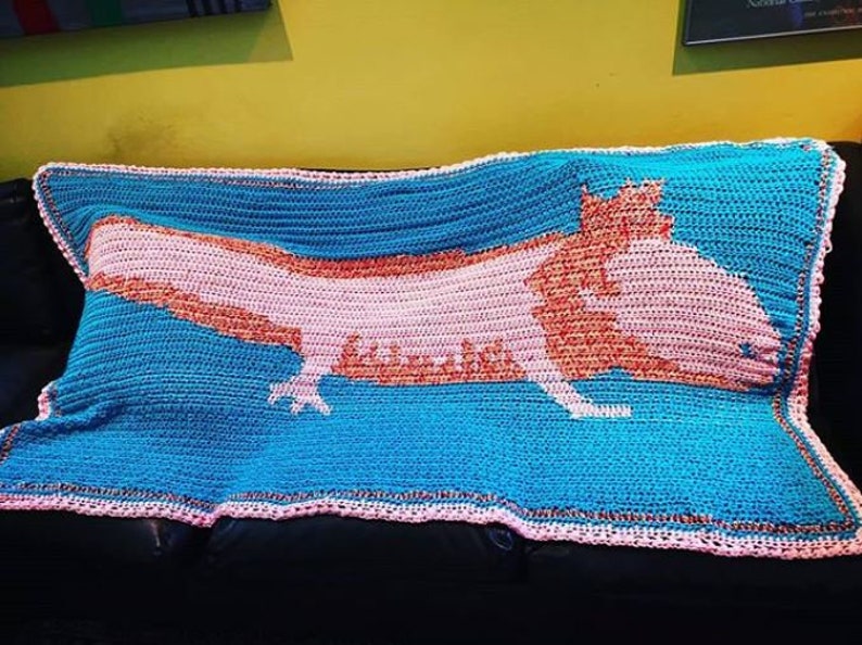 May include: A crocheted blanket featuring a pink and orange axolotl on a turquoise background. The blanket has a pink border.