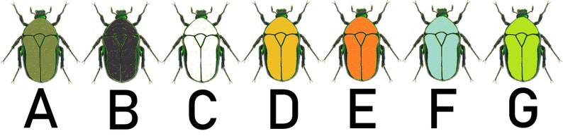 May include: Seven different colored beetles with green legs and a black head. The beetles are labeled A through G.
