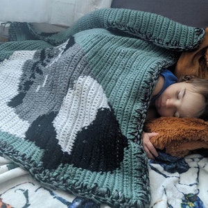 May include: A child sleeps soundly under a green, white, and black crocheted blanket with a brown plush toy.