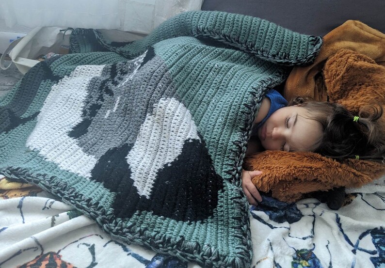 May include: A child sleeps soundly under a green, white, and black crocheted blanket with a brown plush toy.