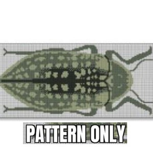 May include: A cross-stitch pattern of a green and black beetle with a detailed design. The pattern is on a white grid background. "PATTERN ONLY" is written below the image.