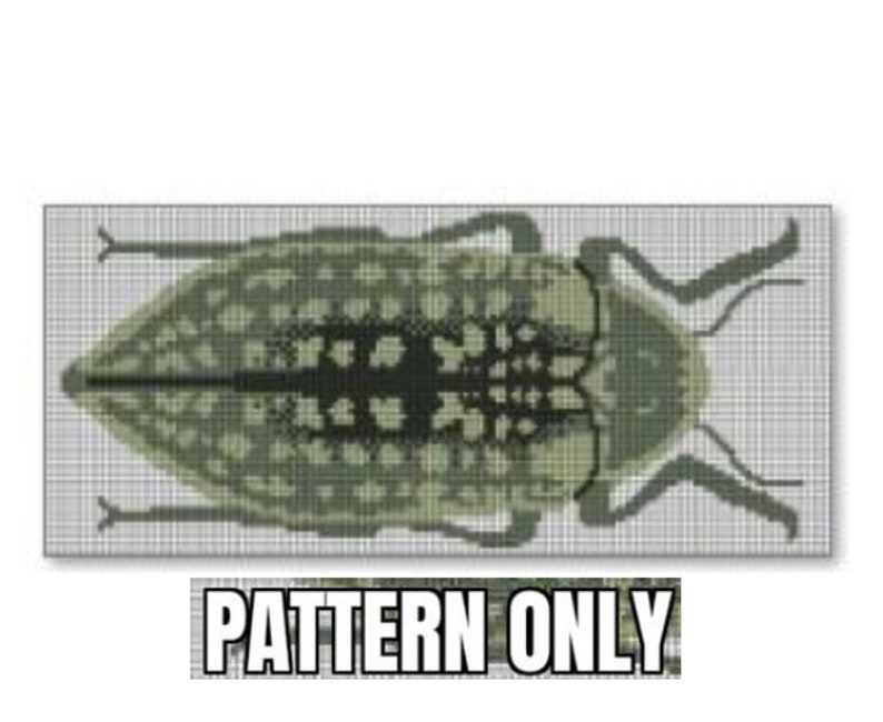 May include: A cross-stitch pattern of a green and black beetle with a detailed design. The pattern is on a white grid background. "PATTERN ONLY" is written below the image.