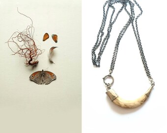 Tandhanger in zilver gevat aan dubbele antieke jasseron ketting