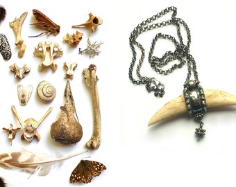 Tand hanger met kralen Oman en Centraal Azie  aan vintage zilveren jasseron ketting