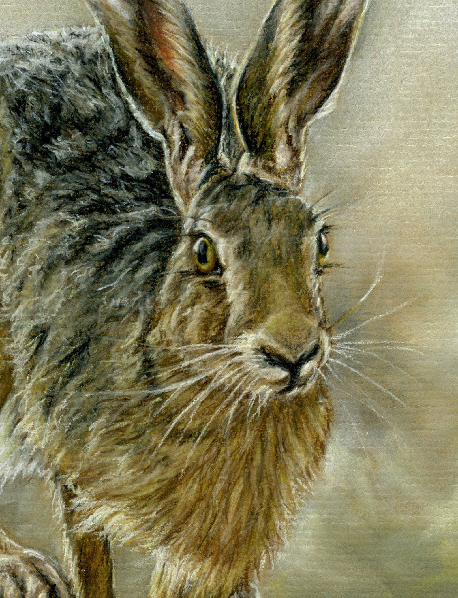Running hare fine art giclee print. Limited edition of fifty Etsy