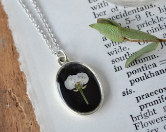 Delicate White Alyssum Flower Necklace on Black Background | One of a Kind Pressed Flower Necklace