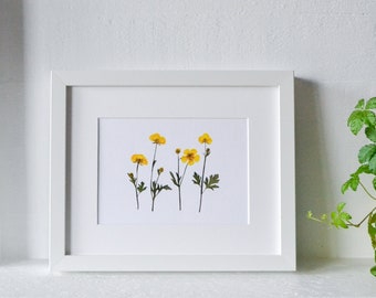 Buttercup Pressed Flower Print | 5x7 Botanical Print | Flower Symbolism: childhood memories; riches; self-esteem; ambition