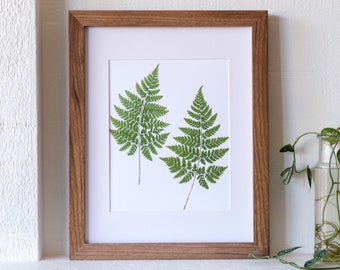 Pressed Fern Duo Art Print | Fern Symbolism: sincerity; new beginnings; fascination, magic