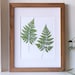 see more listings in the Pressed Nature Prints section