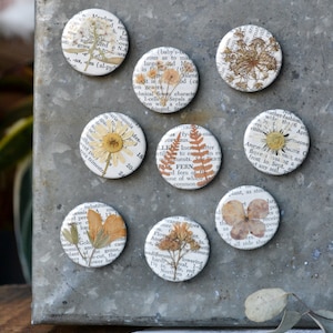 5 Real Pressed Flower Magnets on Vintage Gardening Encyclopedia Pages NEW Stronger Magnets neutrals