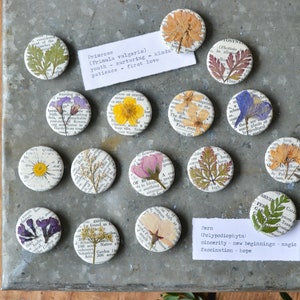 5 Real Pressed Flower Magnets on Vintage Gardening Encyclopedia Pages NEW Stronger Magnets image 3