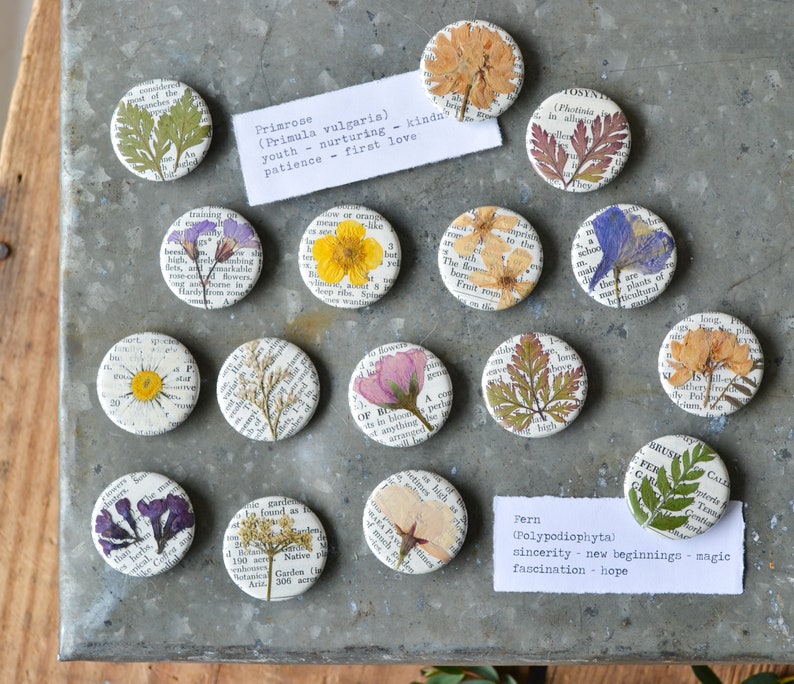 5 Real Pressed Flower Magnets on Vintage Gardening Encyclopedia Pages NEW Stronger Magnets image 3