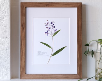 Fireweed Pressed Flower Print | 8 x 10 Botanical Print | Flower Symbolism: bravery; humanity; hope; transformation