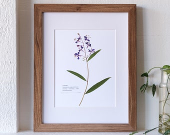 Fireweed Pressed Flower Print | 8 x 10 Botanical Print with Flower Symbolism Card