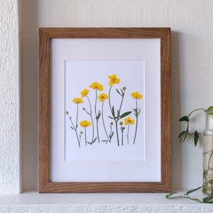 Renoncule impression d'art fleur pressée | Carte impression botanique 8 x 10 avec symbolisme floral