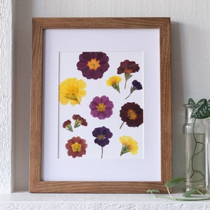 Primrose Pressed Flower Art Print - 8x10 | February Birth Month Flower