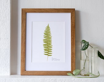 Single Pressed Fern Frond Print with Flower Symbolism Insert - 8 x 10