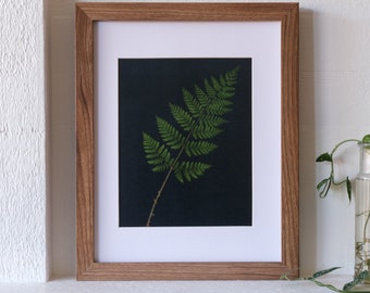 Pressed Fern Print on Black Background - 8x10