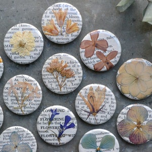 5 Real Pressed Flower Magnets on Vintage Gardening Encyclopedia Pages NEW Stronger Magnets image 1