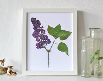 Pressed Purple Lilac Flower Print - 8x10 | Slight Imperfect | Symbolizes: love; protection; renewal; innocence