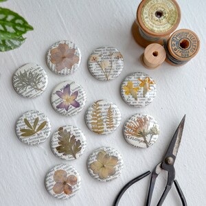 5 Real Pressed Flower Magnets on Vintage Gardening Encyclopedia Pages NEW Stronger Magnets image 4