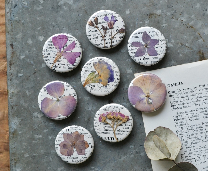 5 Real Pressed Flower Magnets on Vintage Gardening Encyclopedia Pages NEW Stronger Magnets purple or pink