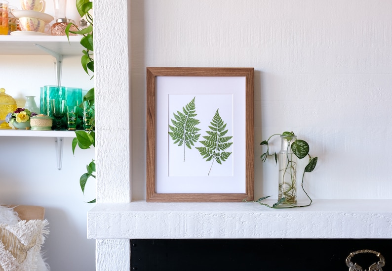 Pressed Fern Duo Art Print Fern Symbolism: sincerity new beginnings fascination, magic image 3