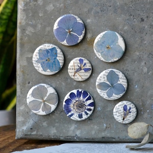 5 Real Pressed Flower Magnets on Vintage Gardening Encyclopedia Pages NEW Stronger Magnets blue tones
