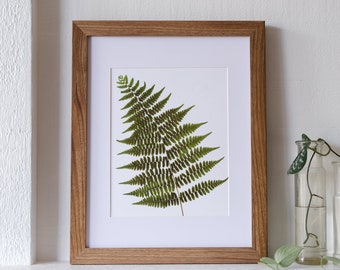 Woodland Fern Print | 8x10 Pressed Botanical Print | Fern Symbolism: sincerity; new beginnings; fascination, magic