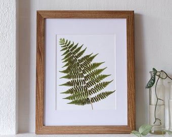 Woodland Fern Print | 8x10 Pressed Botanical Print | Fern Symbolism: sincerity; new beginnings; fascination, magic