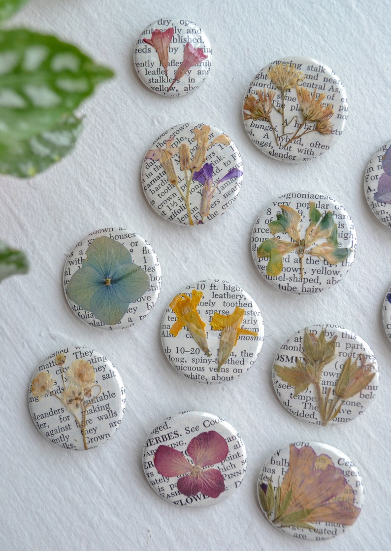 5 Real Pressed Flower Pressed Flower Set on Etsy